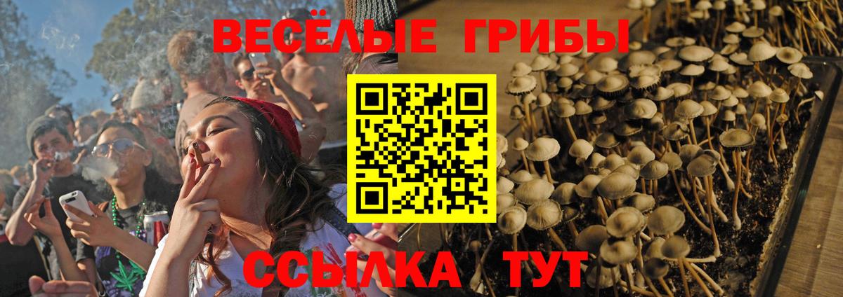 Псилоцибиновые грибы ЛСД Борзя