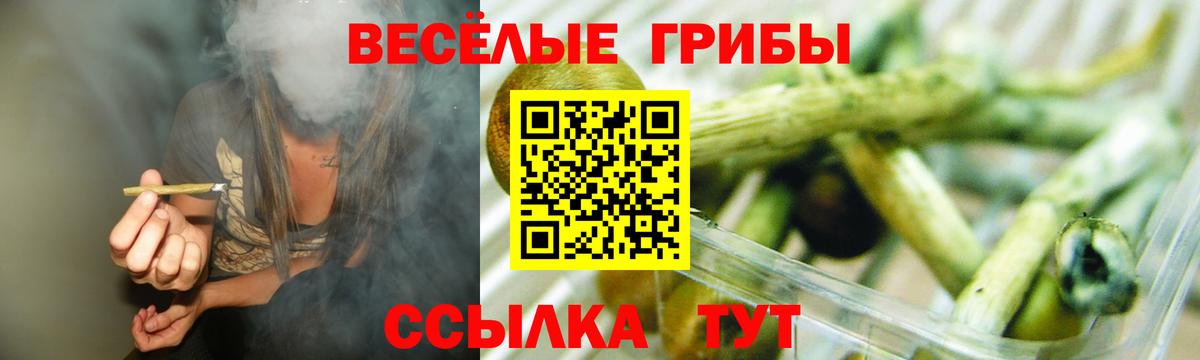 где купить наркотик  Вход с VPN  Борзя  Псилоцибиновые грибы GOLDEN TEACHER  Галлюциногенные грибы ЛСД 